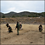 Small Unit Tactics 2